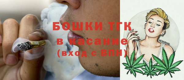 индика Лихославль
