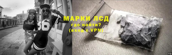 индика Лихославль