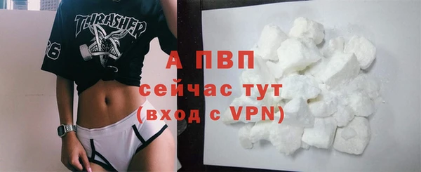 индика Лихославль
