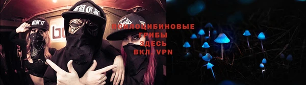 прущая мука Лиски