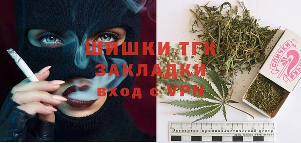 индика Лихославль