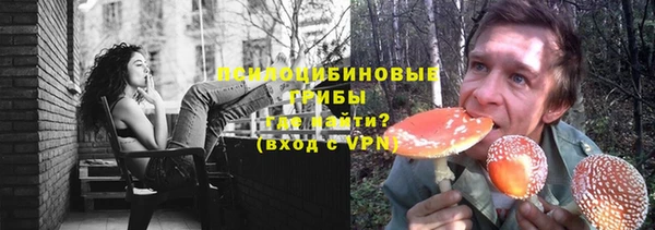 spice Липки