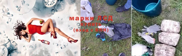 spice Липки