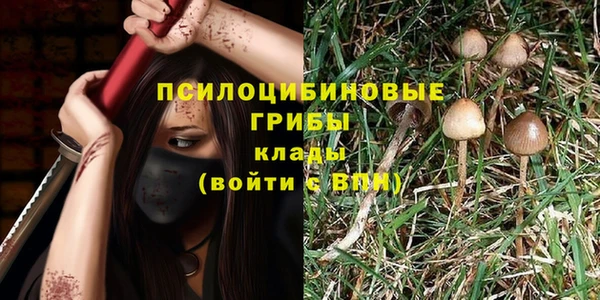 индика Лихославль