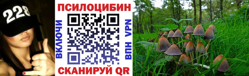 Галлюциногенные грибы GOLDEN TEACHER  Чухлома 