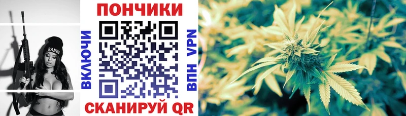 Бошки марихуана SATIVA & INDICA купить Чухлома